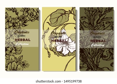 Herbal illustration on label packaging design. Hand drawn vector botanic set with curly flowers 
