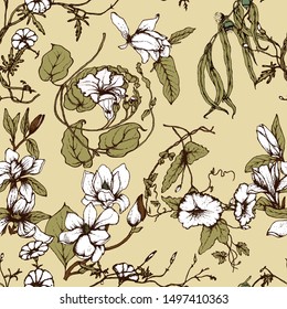 Herbal illustration on label packaging design. Hand drawn vector botanic seamless pattern with magnolia  flowers 