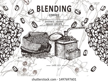 Herbal illustration on label packaging design. Hand drawn vector banner. Coffee beans, leaves, branch, flowers 