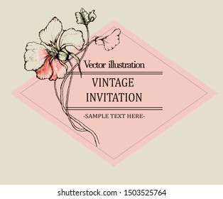 Herbal illustration on label packaging design. Hand drawn vector botanic set with flowers