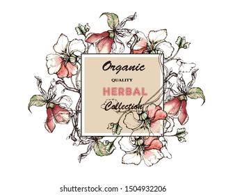 Herbal illustration on label packaging design. Hand drawn vector botanic set with flowers
