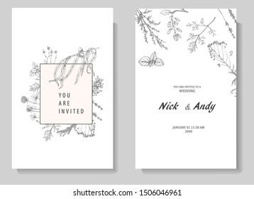 Herbal illustration on label packaging design. Hand drawn vector botanic set with flowers. Wedding invitation
