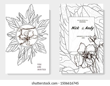 Herbal illustration on label packaging design. Hand drawn vector botanic set with flowers. Wedding invitation