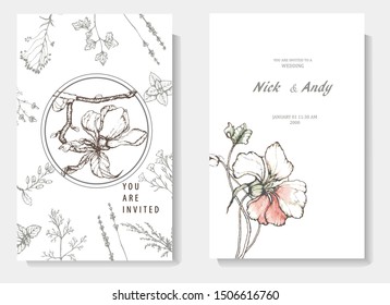 Herbal illustration on label packaging design. Hand drawn vector botanic set with flowers. Wedding invitation