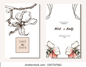 Herbal illustration on label packaging design. Hand drawn vector botanic set with flowers. Wedding invitation