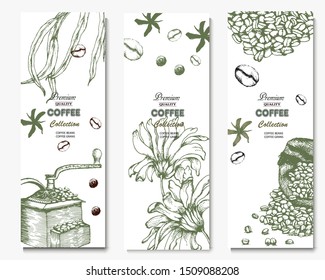 Herbal illustration on label packaging design. Hand drawn vector banner. Coffee beans, leaves, branch, flowers
