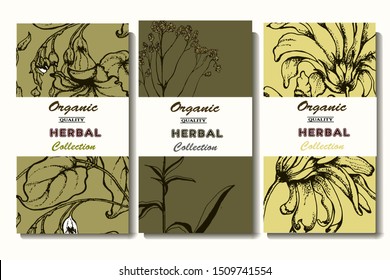 Herbal illustration on label packaging design. Hand drawn vector botanic set with flowers. 