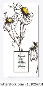 Herbal illustration on label packaging design. Hand drawn vector botanic set with flowers 