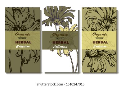 Herbal illustration on label packaging design. Hand drawn vector botanic set with flowers 