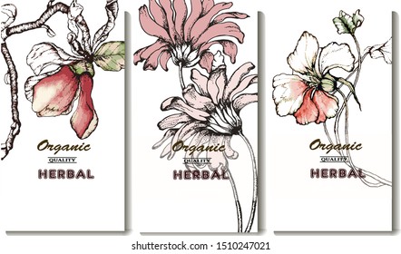 Herbal illustration on label packaging design. Hand drawn vector botanic set with flowers 