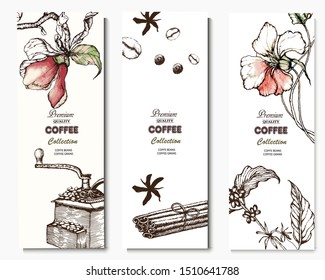 Herbal illustration on label packaging design. Hand drawn vector banner. Coffee beans, leaves, branch, flowers
