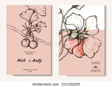 Herbal illustration on label packaging design. Hand drawn vector botanic set with flowers 