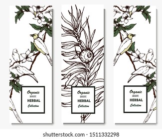 Herbal illustration on label packaging design. Hand drawn vector botanic set with flowers and birds