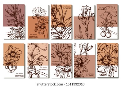 Herbal illustration on label packaging design. Hand drawn vector botanic set with flowers 