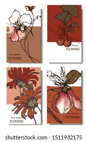 Herbal illustration on label packaging design. Hand drawn vector botanic set with flowers 