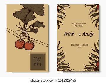 Herbal illustration on label packaging design. Hand drawn vector botanic set with flowers. Wedding invitation 