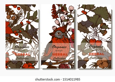 Herbal illustration on label packaging design. Hand drawn vector botanic set with flowers and bird, invitation