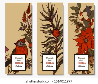 Herbal illustration on label packaging design. Hand drawn vector botanic set with flowers and bird, invitation
