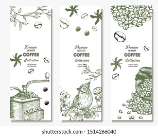Herbal illustration on label packaging design. Hand drawn vector banner. Coffee beans, leaves, branch, flowers

