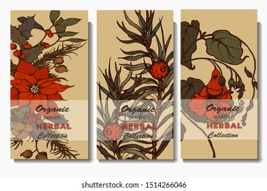 Herbal illustration on label packaging design. Hand drawn vector botanic set with flowers and bird, invitation