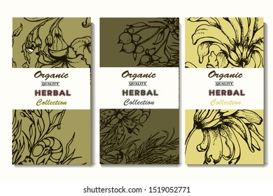 Herbal illustration on label packaging design. Hand drawn vector botanic set with flowers and bells, invitation