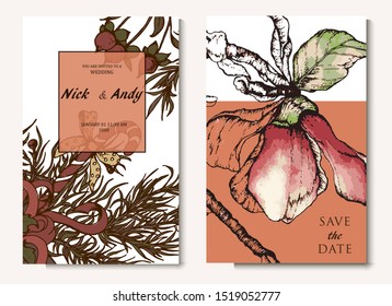Herbal illustration on label packaging design. Hand drawn vector botanic set with flowers, invitation