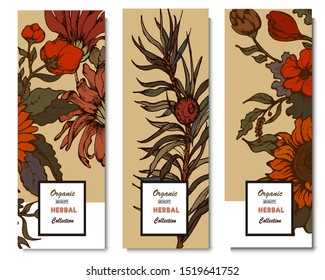 Herbal illustration on label packaging design. Hand drawn vector botanic set with flowers, invitation