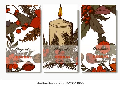 Herbal illustration on label packaging design. Hand drawn vector botanic set with flowers and candles, invitation