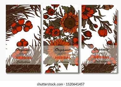 Herbal illustration on label packaging design. Hand drawn vector botanic set with flowers and cone, invitation