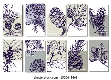 Herbal illustration on label packaging design. Hand drawn vector botanic set with flowers and cone, invitation