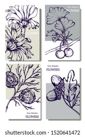Herbal illustration on label packaging design. Hand drawn vector botanic set with flowers and cone, invitation