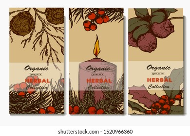 Herbal illustration on label packaging design. Hand drawn vector botanic set with branch and cone, invitation