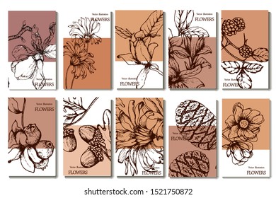 Herbal illustration on label packaging design. Hand drawn vector botanic set with branch, birds, flowers and cone, invitation