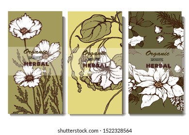 Herbal illustration on label packaging design. Hand drawn vector botanic set with branch, flowers, invitation