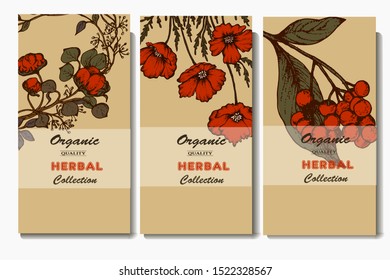 Herbal illustration on label packaging design. Hand drawn vector botanic set with branch, flowers, invitation