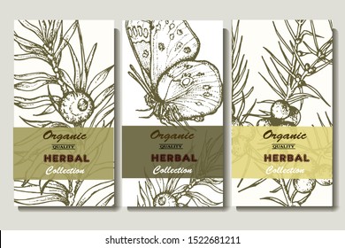 Herbal illustration on label packaging design. Hand drawn vector botanic set with branch, flowers, butterfly, invitation