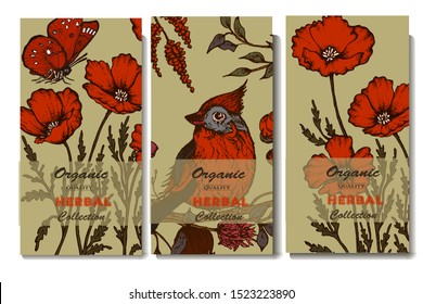Herbal illustration on label packaging design. Hand drawn vector botanic set with branch, flowers, invitation