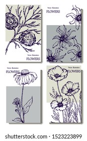 Herbal illustration on label packaging design. Hand drawn vector botanic set with branch, flowers, cone, invitation