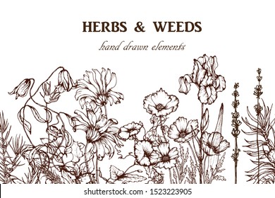 Herbal illustration on label packaging design. Hand drawn vector botanic set with branch, flowers, invitation