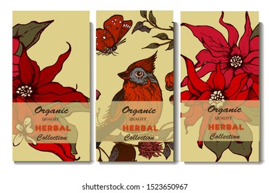 Herbal illustration on label packaging design. Hand drawn vector botanic set with branch, flowers, invitation