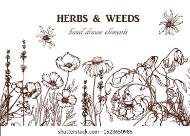 Herbal illustration on label packaging design. Hand drawn vector botanic set with branch, flowers, invitation