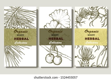 Herbal illustration on label packaging design. Hand drawn vector botanic set with branch, flowers, invitation