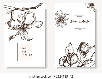 Herbal illustration on label packaging design. Hand drawn vector botanic set with branch, flowers, invitation