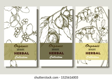 Herbal illustration on label packaging design. Hand drawn vector botanic set with branch, flowers, invitation