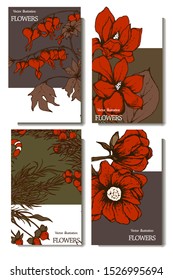 Herbal illustration on label packaging design. Hand drawn vector botanic set with branch, flowers,