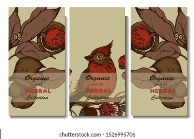 Herbal illustration on label packaging design. Hand drawn vector botanic set with branch, flowers, bird,
