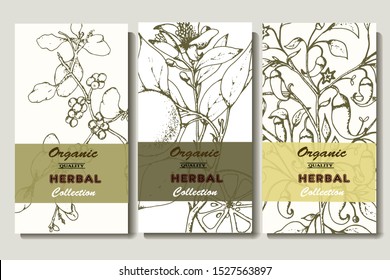 Herbal illustration on label packaging design. Hand drawn vector botanic set with branch, flowers.
