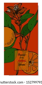 Herbal illustration on label packaging design. Hand drawn vector botanic set with branch, flowers, oranges.