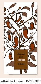 Herbal illustration on label packaging design. Hand drawn vector botanic set with branch, flowers, pepper.