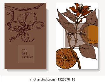 Herbal illustration on label packaging design. Hand drawn vector botanic set with branch, flowers, oranges.